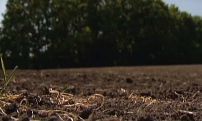 Земля, Украина. Фото: скрин youtube