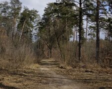 Весна. Погода. Фото Стіни