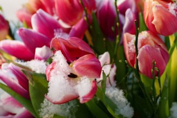 Погода на 15 апреля 2020 года