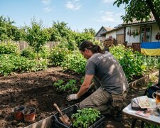 рок-музикант город помідори