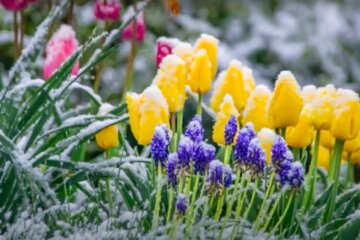 погода. Фото: скриншот YouTube