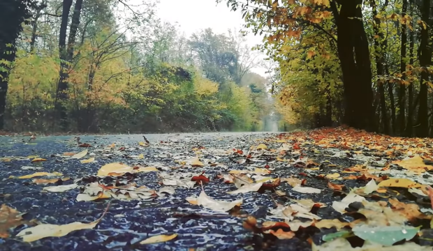 Синоптик Диденко предупредила о срыве погоды - сильное похолодание