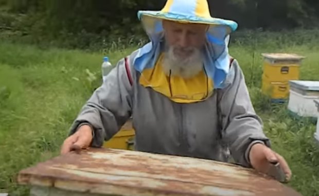 Пчеловоды: Скриншот YouTube