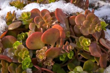 Погода в Україні. Фото: скріншот Youtube-відео