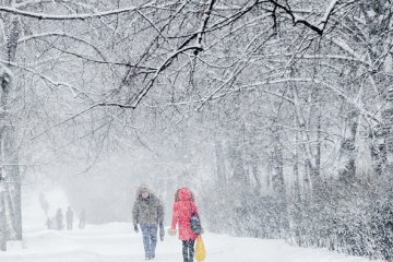 Снегопад, фото:Апостроф