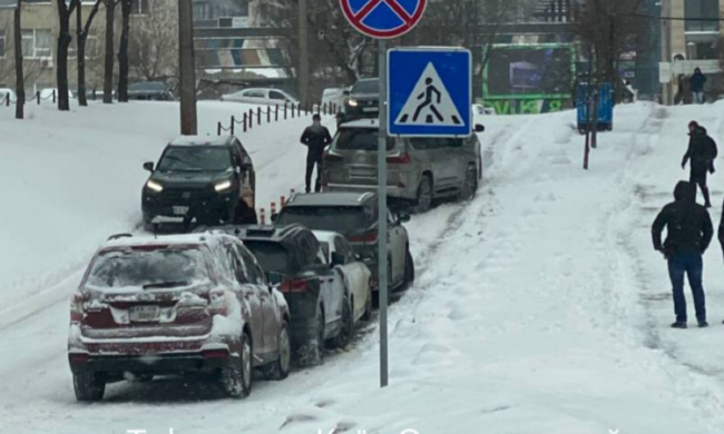 Дика стихія влаштувала транспортний колапс: траси завалено, Київ заблоковано, десятки ДТП