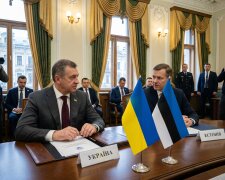 Естонія Україна переговори прапори дипломатія
