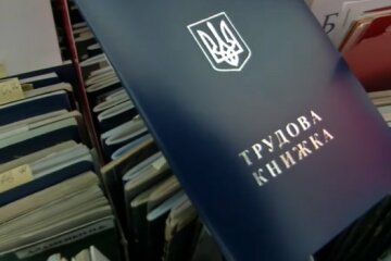 Трудовая книжка. Фото: скриншот YouTube