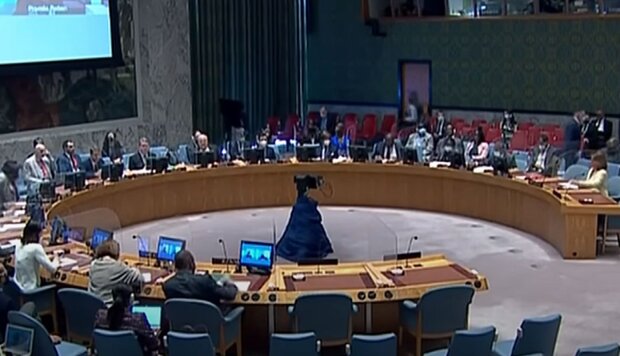 Засідання ООН. Фото: скріншот YouTube-відео