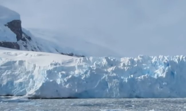 В Антарктиде внезапно покраснел снег. Фото: YouTube