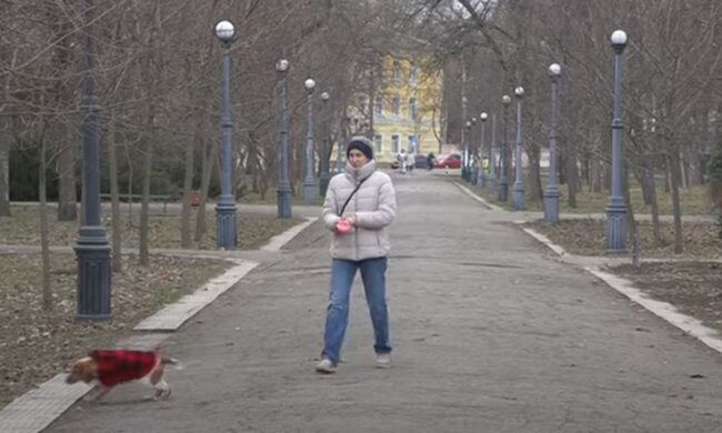 Погода  весной. Фото: скриншот YouTube-видео