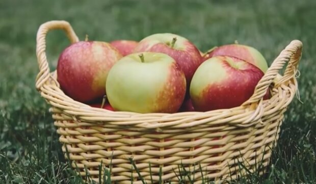 Яблоки. Фото: YouTube