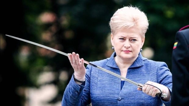 Выборы в Литве: кто станет президентом вместо Грибаускайте