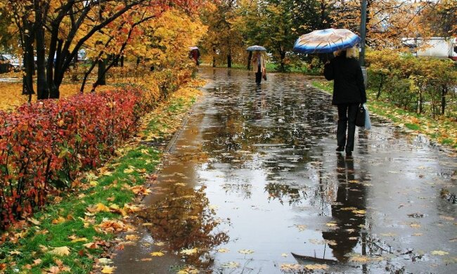 Прохладно и влажно: синоптики рассказали о погоде на 9 октября. Фото: из открытых источников