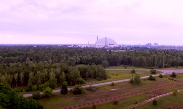 Рудий ліс в Чорнобилі. Фото: скріншот YouTube-відео