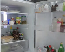 Холодильник. Фото: .youtube.com