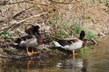 Погода на 18 марта 2020 года