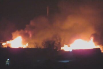 Пожар под Одессой. Фото: скриншот Facebook