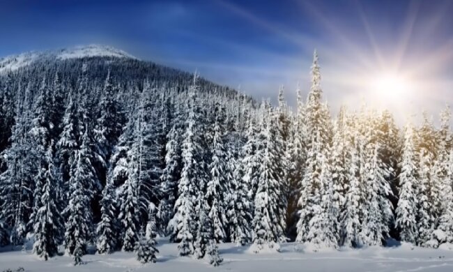 Зима. Фото: скриншот Youtube-видео