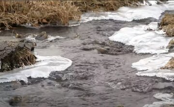 Природа в начале марта. Фото: скриншот Youtube-видео