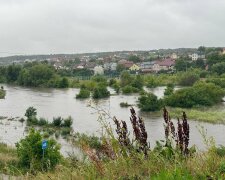 Негода у Львові, фото: Телеграм