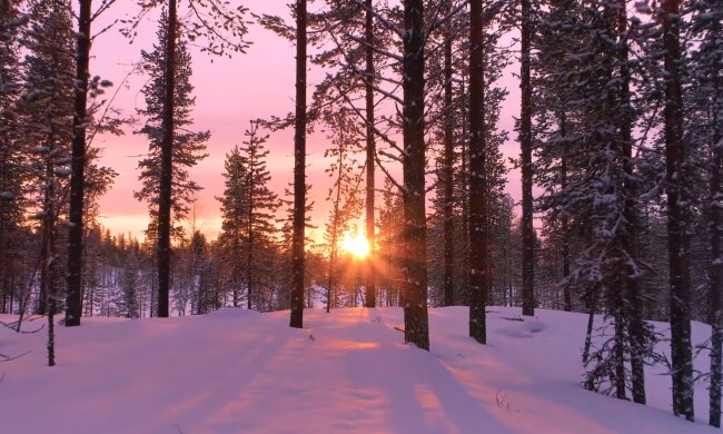 Природа. Фото: скріншот YouTube-відео