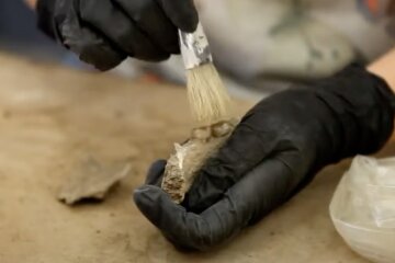 Археологи. Фото: скриншот YouTube