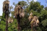 Это просто катастрофа: в Крыму случилось ЧП, у Путина кричат "нет денег", первые фото