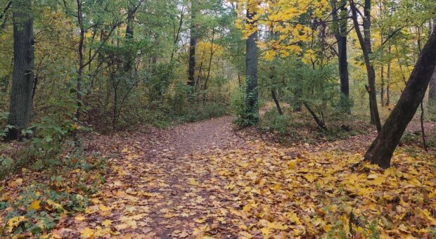 Сухо, сонячно, але холодно: синоптики попередили про погоду в Україні на завтра