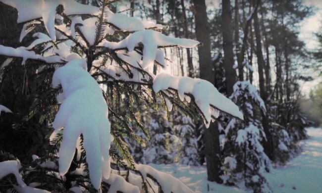 Зима. Фото: YouTube, скрін