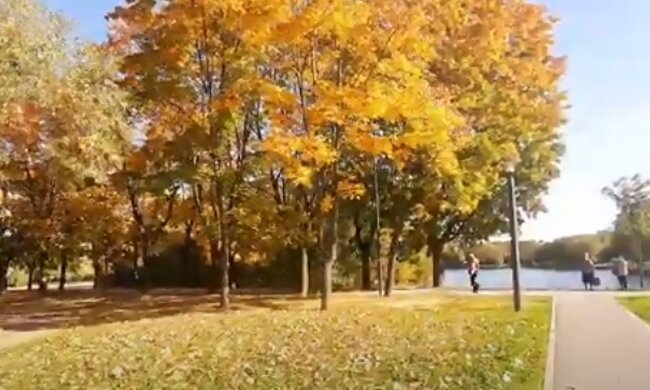 Погода осенью. Фото: скриншот YouTube-видео