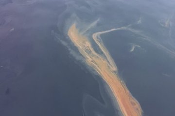 Маслянистые разводы вдоль побережья Черного моря