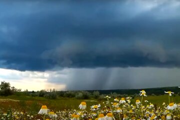 Погода. Фото: YouTube