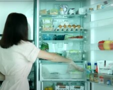 Продукты в холодильнике. Фото: скриншот видео