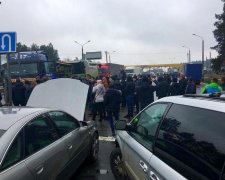 Начался бунт: на границе с Венгрией 60 автобусов полностью заблокировали пункт пропуска