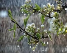 Погода в Украине на четверг 4 апреля и Благовещенье. Жара и дожди — известны даты