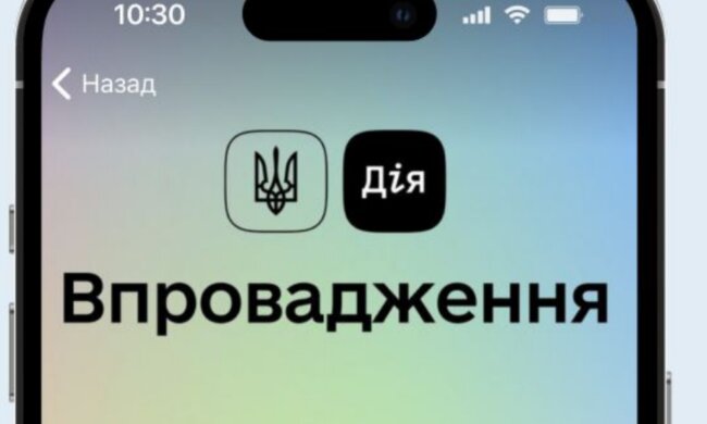 Додаток "Дія". Фото: скрін відео