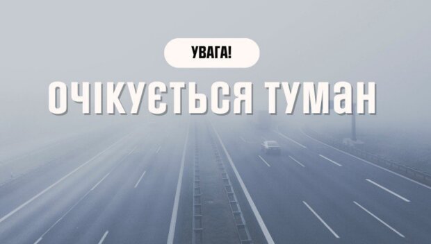 Дожди, туманы и прохлада: какой будет погода в Украине 12 ноября