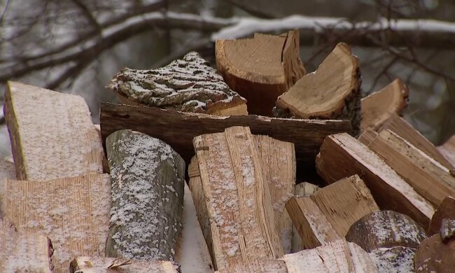 Дрова. Фото: скріншот YouTube-відео