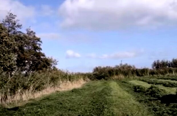 Сельскохозяйственная земля. Фото: скриншот Youtube