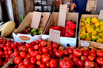 Для киян опублікували адреси, де можна одержати продукти. Фото: YouTube