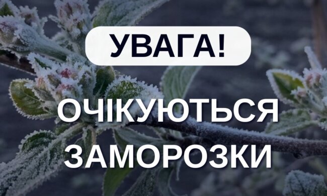 Вдарять заморозки, вдень дощ і холод: прогноз Укргідрометцентру на 29 квітня
