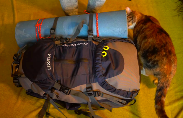 Украинцам во всех городах дали срочную инструкцию. Фото: YouTube