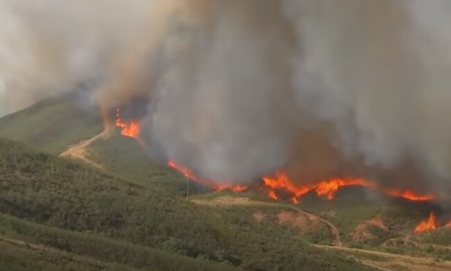 Страну охватили лесные пожары: люди в спешке покидают свои дома, спасатели не в силах сдержать пламя