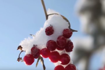 Погода на 5 января 2020 года