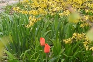 На Украину надвигается холодный антициклон. Фото: скриншот YouTube