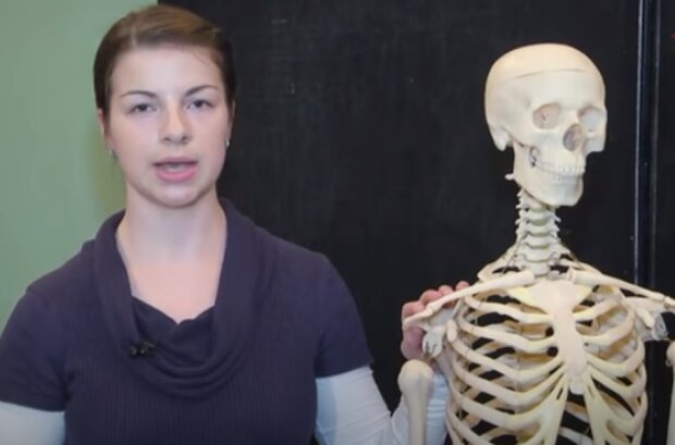 Ученые нашли новый орган в теле человека. Фото: скриншот Youtube-видео