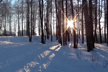 Природа. Фото: скріншот YouTube-відео