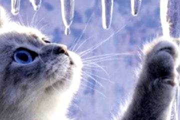 Погода на 10 февраля 2020 года