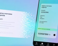 Електронний ІПН у Дія: як його зробити та як працює нова система - детальна інструкція для українців 
